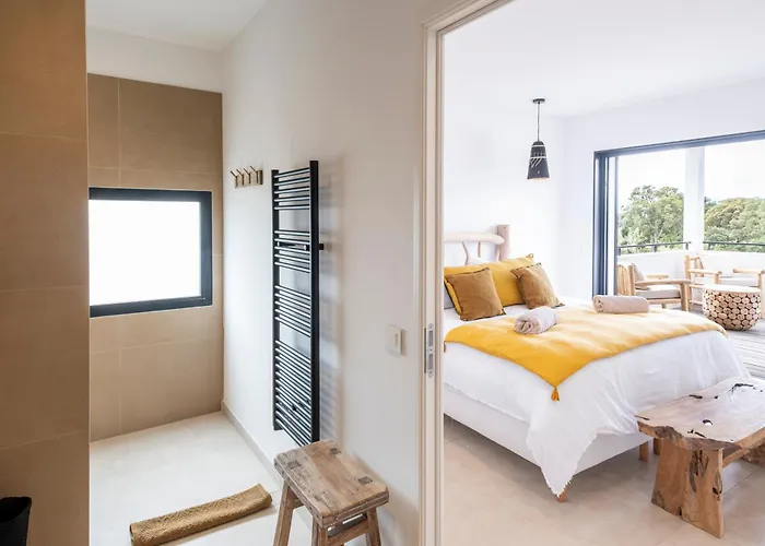 Villa Bambou 12 Pers Piscine Chauffee 10 Minutes A Pieds